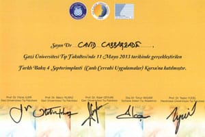Farklı Bakış 4: Septorinoplasti (canlı cerrahi uygulamalar) kursu — Gazi Üniversitesi, 11 Mayıs 2013