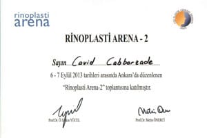 Rinoplasti Arena-2 — Ankara, 6–7 Eylül 2013