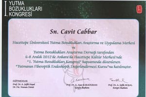 Yutmanın Fiberoptik Endoskopik Değerlendirmesi kursu — 1. Yutma Bozuklukları Kongresi, 6–8 Aralık 2012
