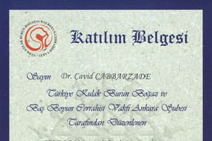 Horlama ve Uyku Apnesinde Cerrahi Tedavi — TKBBV Ankara, 30 Mayıs 2013