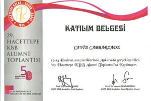 29. Hacettepe KBB Alumni Toplantısı — Ankara, 13–14 Haziran 2013