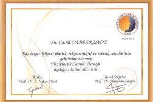 Yüz Plastik Cerrahi Derneği — üyeliğe kabul, 9 Nisan 2013